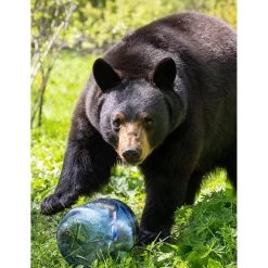 BV450-Jaunt 11 BV450-Jaunt -Outdoor Camping Shop BV450 b.jpgw3 rsz 25486.1654883155