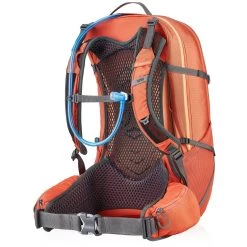 Gregory Juno 30 H20 - Women's (Fall 2022) -Outdoor Camping Shop GMP Juno30H2O CoralRed Back34 rsz 05700.1656354797