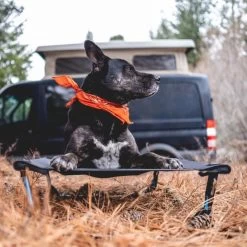 Helinox Elevated Dog Cot - Medium (Fall 2022) -Outdoor Camping Shop helinox vanlife dog cot 600x 800x 9a70c463 4f67 4a19 b51f 4d3433991b27 800x800 rsz 32155.1646680882